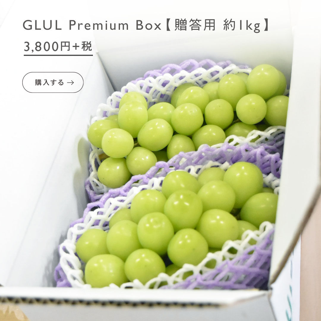 シャインマスカット贈呈用